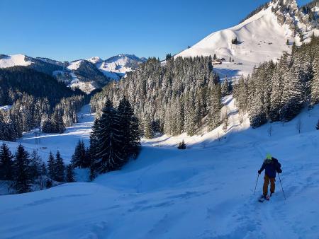 coming out of forest path