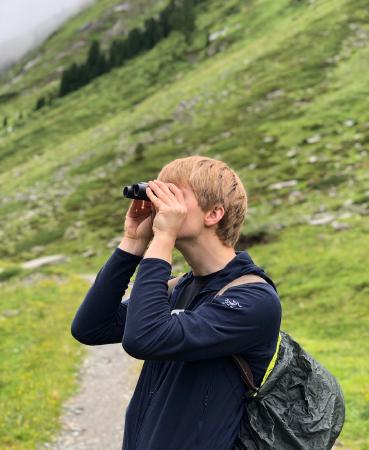 spotting some cows across the valley <sup>1</sup>