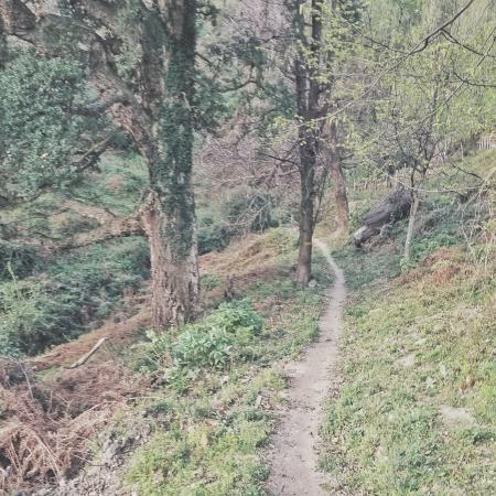 Der Weg wenn es ist gut