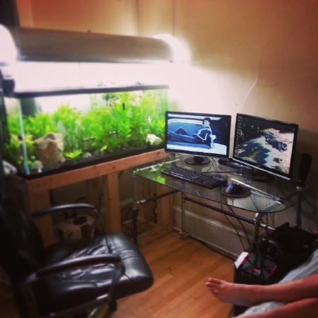 55 gallon tank next to diy desk