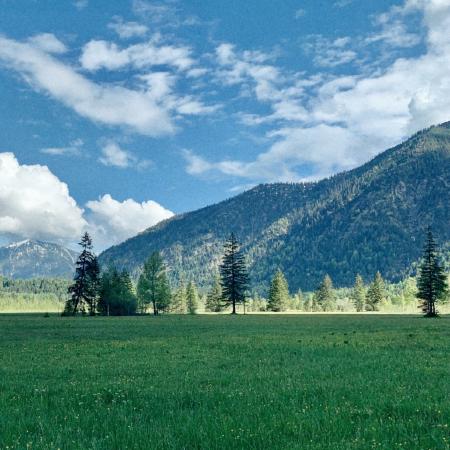 Felder in der Nähe des Klettergartens