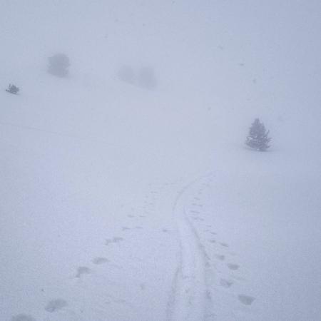 i think we go this way