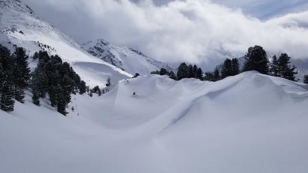 untouched powder dream