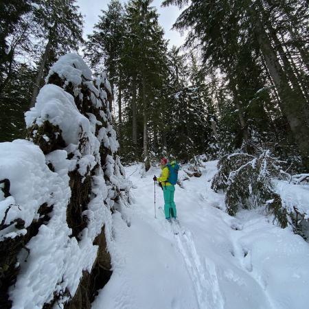 through the woods off trail