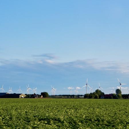 so many wind turbines