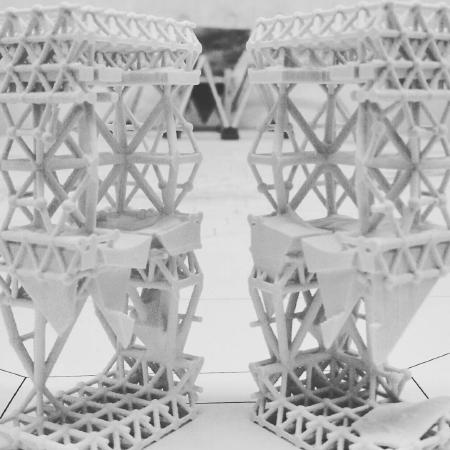 butterfly center section model