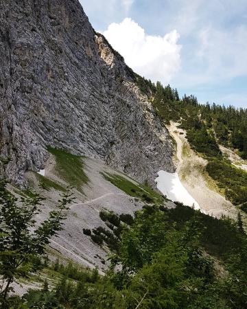 Wo Bäume und Felsen kollidieren