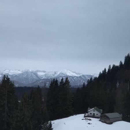 see you again in summer