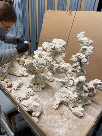 starting to take shape