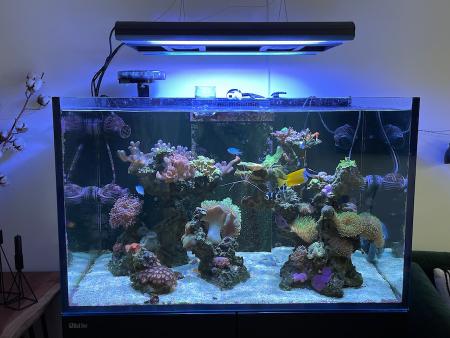 new lights installed