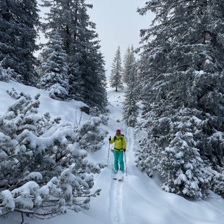 to go up one must go down